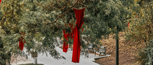 Red dress hanging from tree